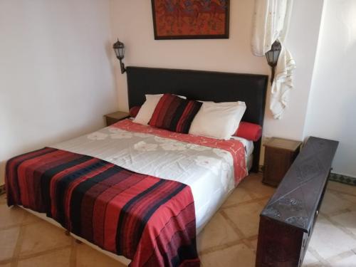 whatsapp_image_2021-11-13_at_20